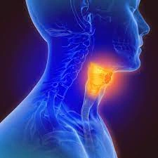 throat pain