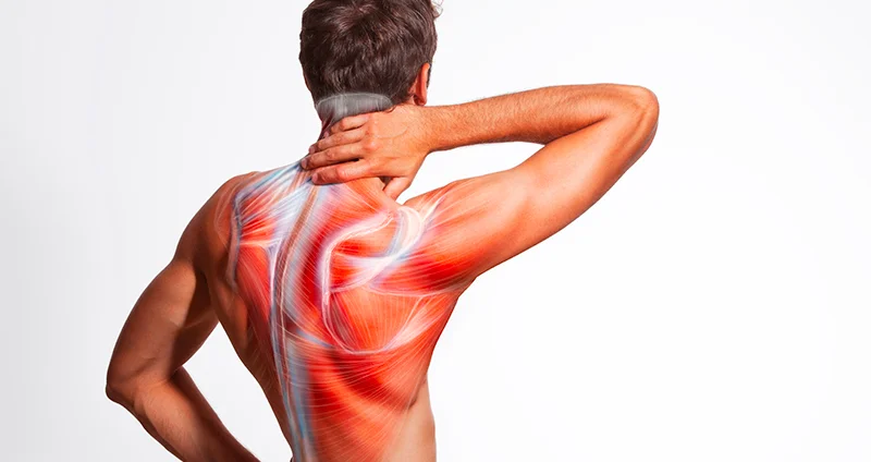 Pain & Musculoskeletal