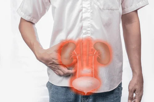 Kidney & Urinary